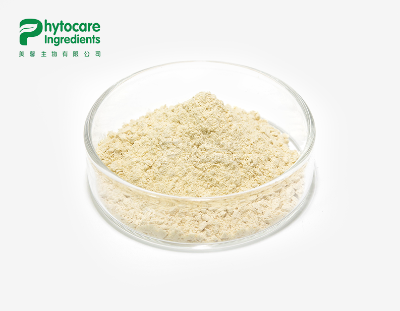 Rosemary Leaf Extract Powder
